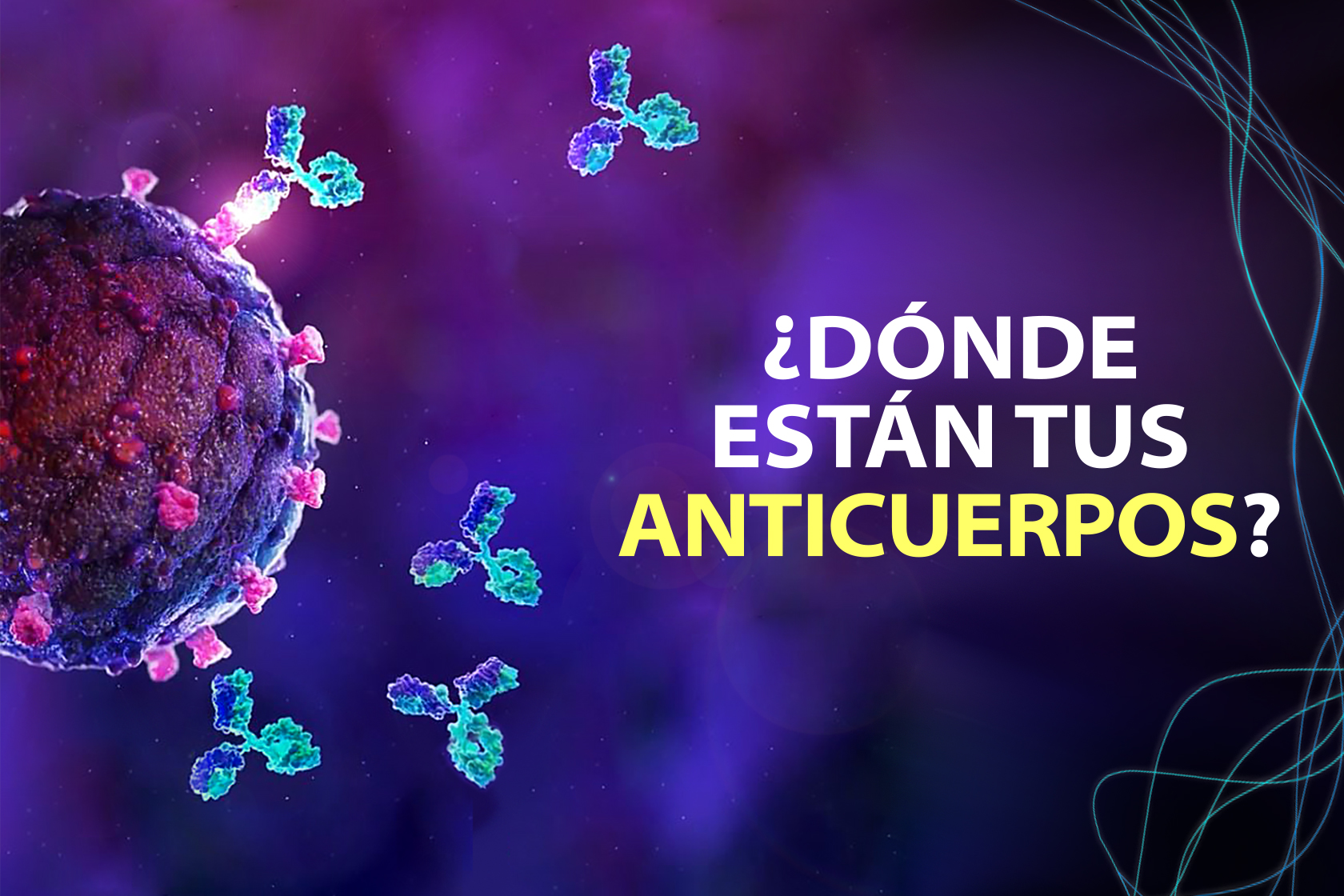 ¿DÓNDE ESTÁN TUS ANTICUERPOS?
