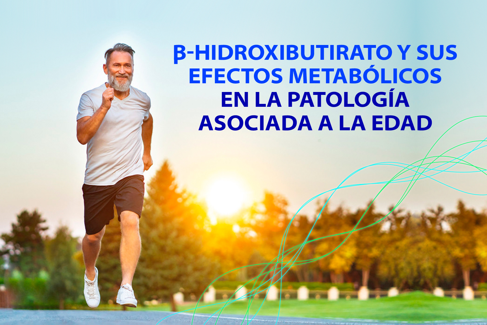 β-hidroxibutirato y sus efectos metabólicos en la patología asociada a la edad