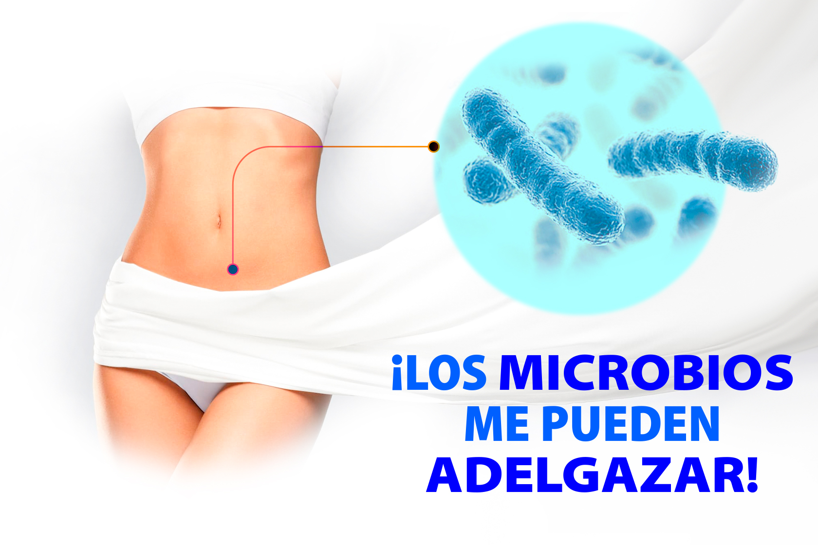 ¡LOS MICROBIOS ME PUEDEN ADELGAZAR!